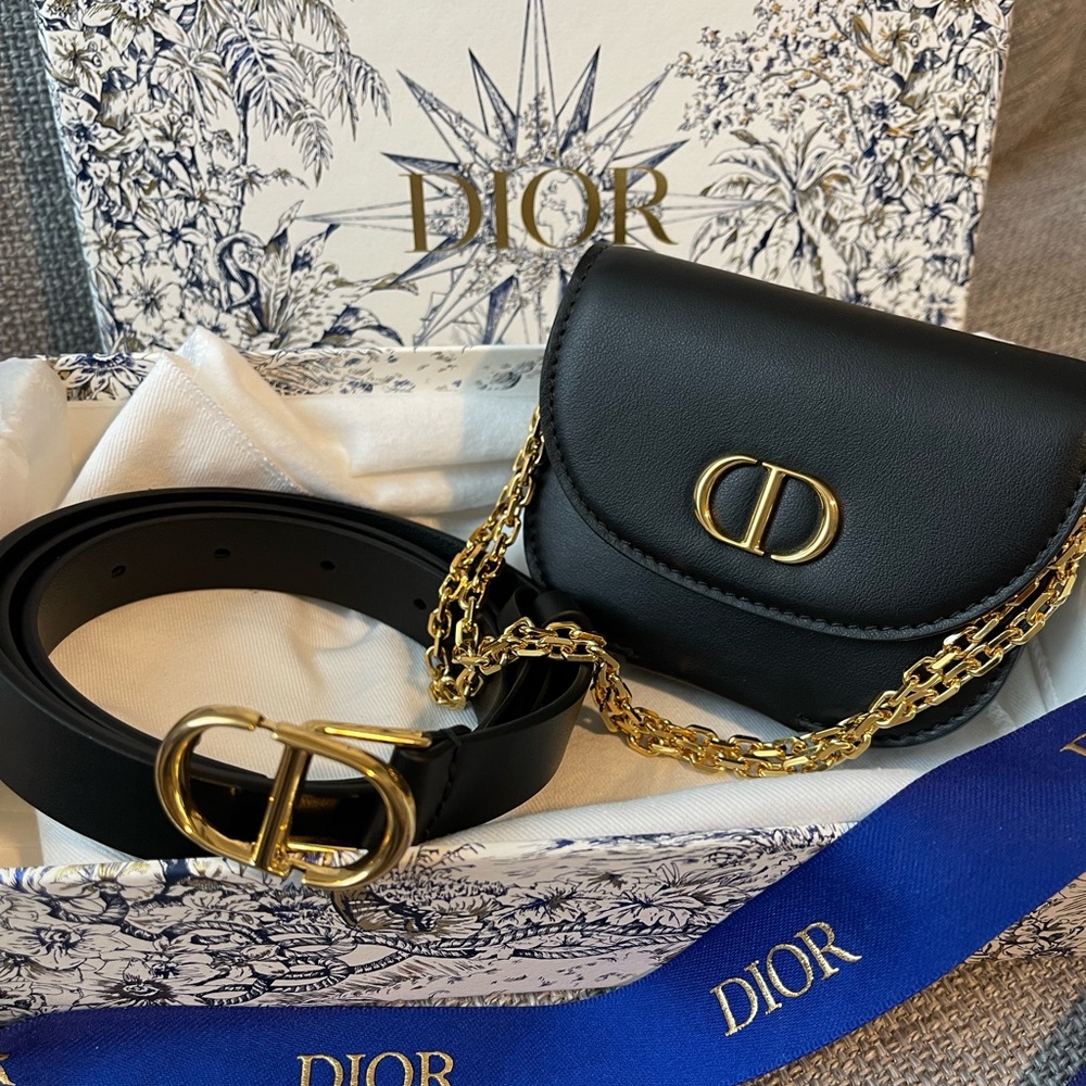 NEW DIOR 30 Montaigne Removable Belt Pouch
